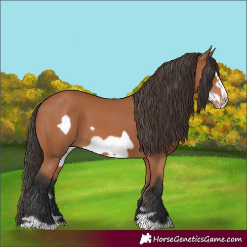 Horse Color:Bay Frame