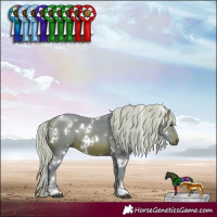 Horse Color:Watercolor White Spotted Silver Brown