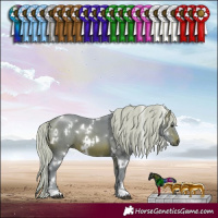 Horse Color:Watercolor White Spotted Silver Brown 