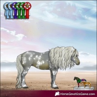 Horse Color:Watercolor White Spotted Silver Brown