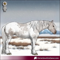 Horse Color:White Spotted Silver Brown Dun Tobiano
