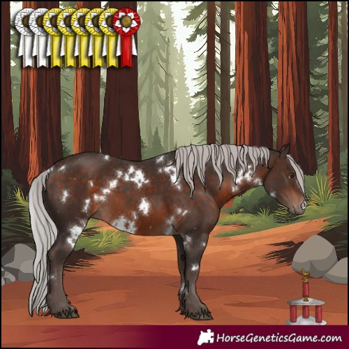 Horse Color:White Spotted Silver Bay Mushroom 