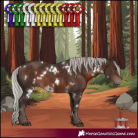 Horse Color:White Spotted Silver Bay Mushroom 