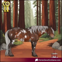 Horse Color:White Spotted Silver Bay Mushroom 
