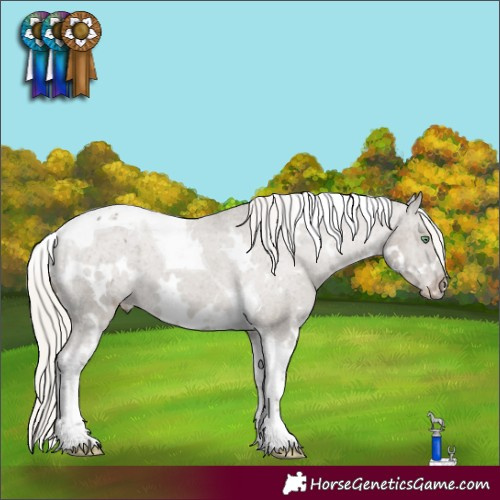 Horse Color:White Spotted Silver Smoky Grullo Tobiano Appaloosa 