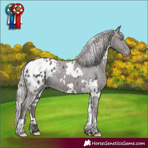 Horse Color:White Spotted Silver Black Appaloosa 