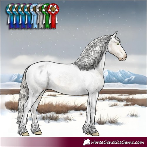 Horse Color:White Spotted Silver Buckskin Tobiano Appaloosa 