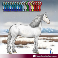 Horse Color:White Spotted Silver Buckskin Tobiano Varnish