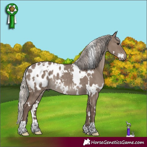 Horse Color:White Spotted Silver Grullo Appaloosa Rabicano 