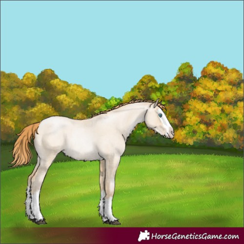 Horse Color:Smoky Grullo Roan Pearl Splash 