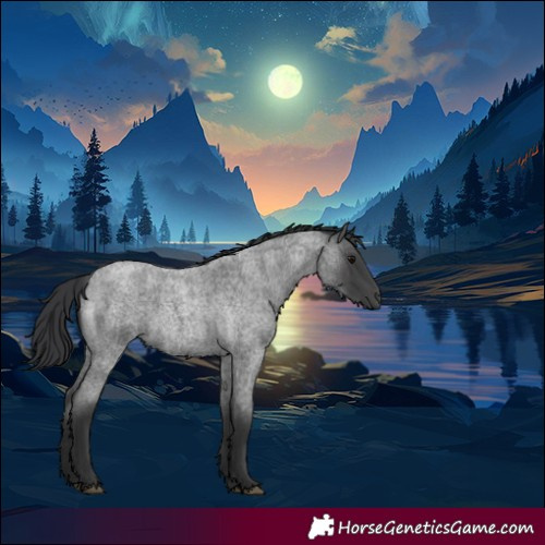 Horse Color:Blue Roan 
