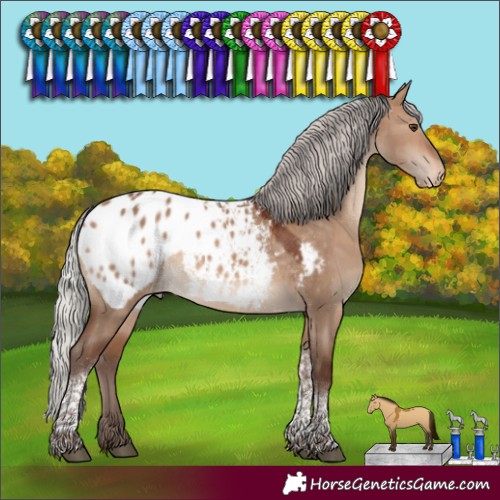 Horse Color:Silver Brown Dun Tobiano Blanket 