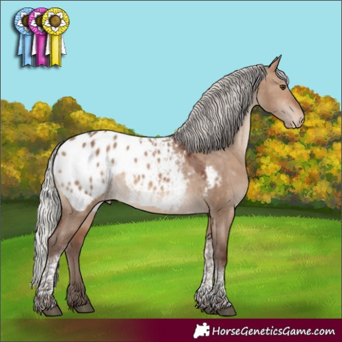 Horse Color:Silver Brown Dun Tobiano Appaloosa 