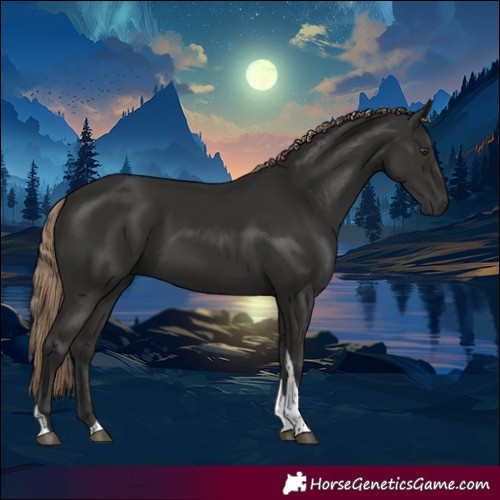 Horse Color:Liver Chestnut Tobiano 