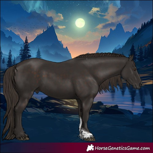 Horse Color:Liver Chestnut Tobiano 