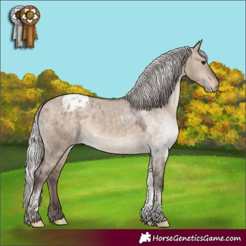 Horse Color:Silver Brown Dun Tobiano Blanket 