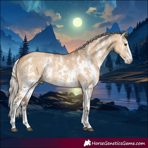Horse Color:Silver Bay Dun Sabino Rabicano 