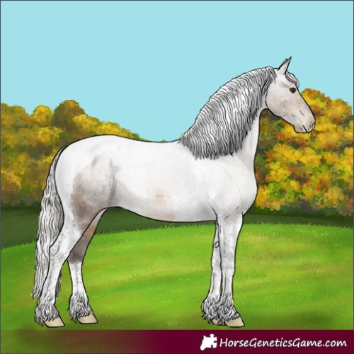 Horse Color:Silver Brown Dun Tobiano Varnish 