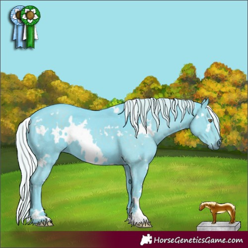 Horse Color:Watercolor White Spotted Silver Black Chinchilla 