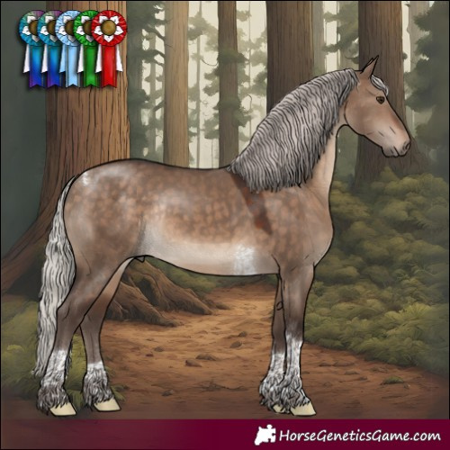 Horse Color:Silver Brown Dun Tobiano Rabicano 