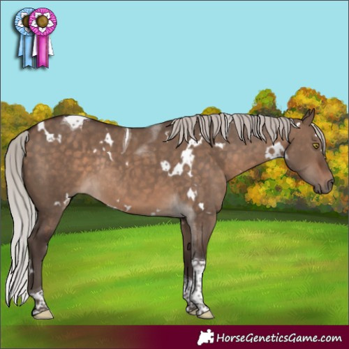Horse Color:White Spotted Silver Brown Dun Tobiano Rabicano 