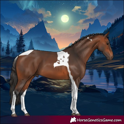 Horse Color:Bay Tobiano 