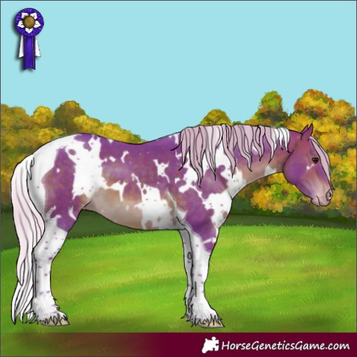 Horse Color:Watercolor White Spotted Silver Brown Tobiano Appaloosa 