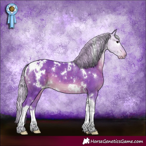 Horse Color:Watercolor White Spotted Silver Brown Tobiano Appaloosa 