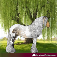 Horse Color:White Spotted Silver Buckskin Tobiano 