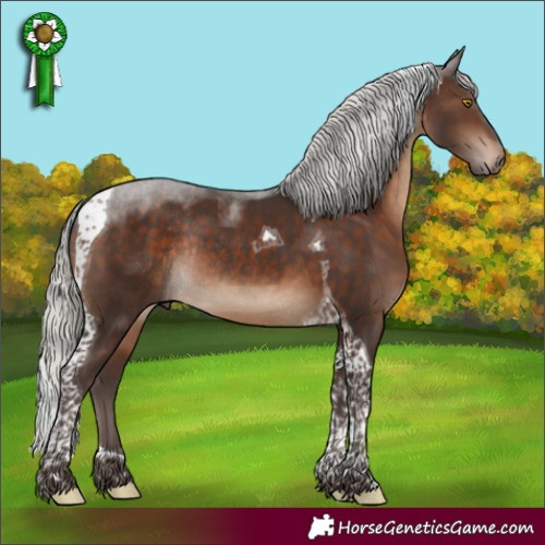 Horse Color:Silver Brown Tobiano Rabicano 
