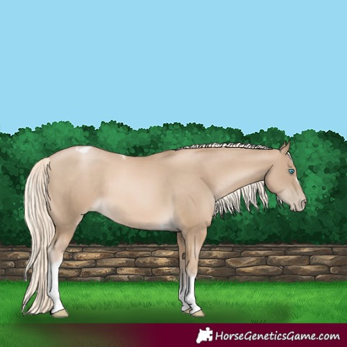 Horse Color:Chocolate Palomino Pearl Tobiano Frame  and Chocolate Palomino Pearl Tobiano Frame 
