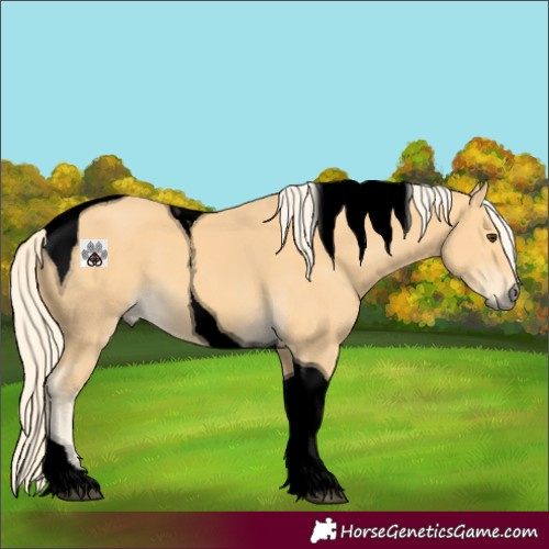 Horse Color:Void Palomino Tobiano 