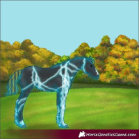 Horse Color:Painted Thunderstruck Black Rabicano
