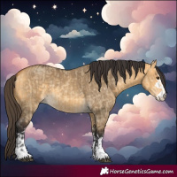 Horse Color:Buckskin Dun and Buckskin Dun