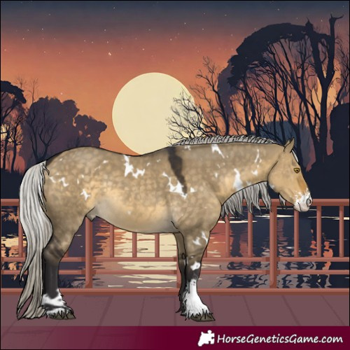 Horse Color:White Spotted Silver Buckskin Dun Sabino Rabicano 
