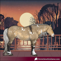 Horse Color:White Spotted Silver Buckskin Dun Sabino Rabicano