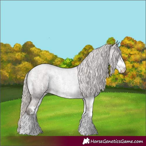 Horse Color:Silver Blue Roan Sabino 