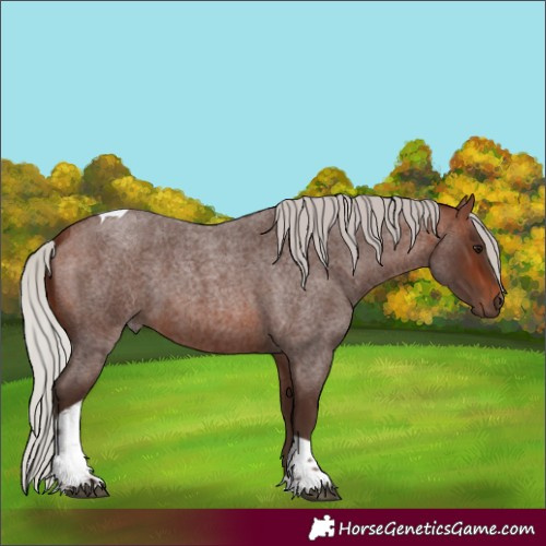Horse Color:Silver Brown Roan Tobiano 