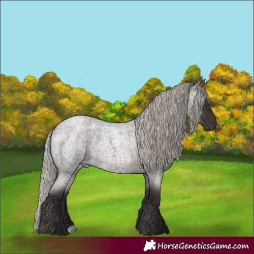 Horse Color:Silver Brown Roan 