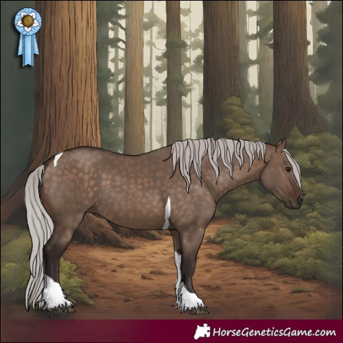 Horse Color:Silver Brown Dun Tobiano 