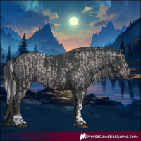 Horse Color:Platinum Silver Smoky Black Tobiano  and Black 