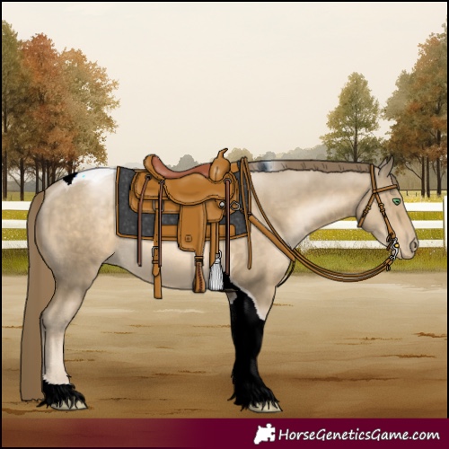 Horse Color:Smoky Black Pearl Tobiano Rabicano