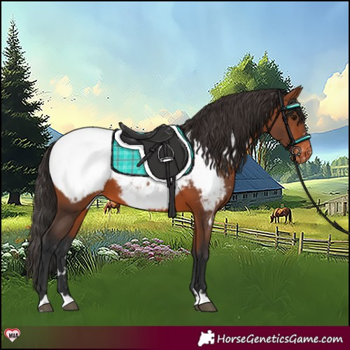 Horse Color:Bay Near Fewspot 