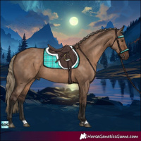 Horse Color:Liver Red Dun Rabicano 