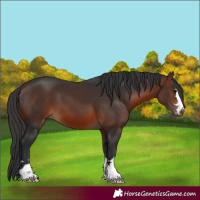 Horse Color:Brown 