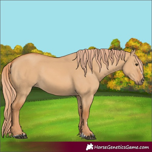 Horse Color:Red Dun 
