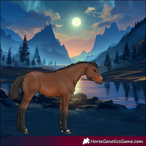 Horse Color:Brown 