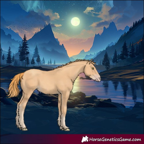 Horse Color:Gold Champagne 