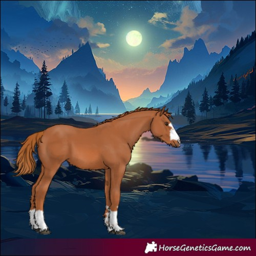 Horse Color:Chestnut 