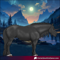 Horse Color:Black 